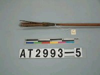 藏品(四鏃竹箭)的圖片
